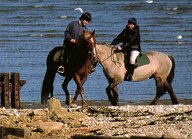 Pony riding on the beach at Ventnor.